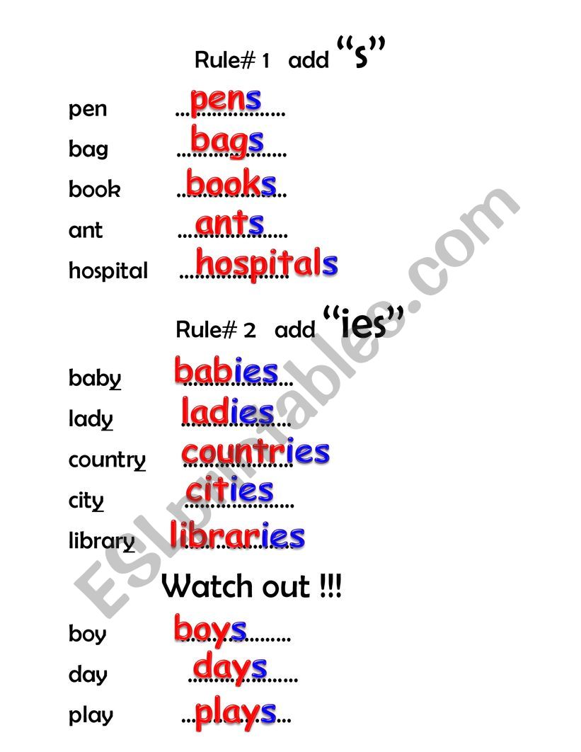 singulars and plurals 1 (ANSWER KEY)