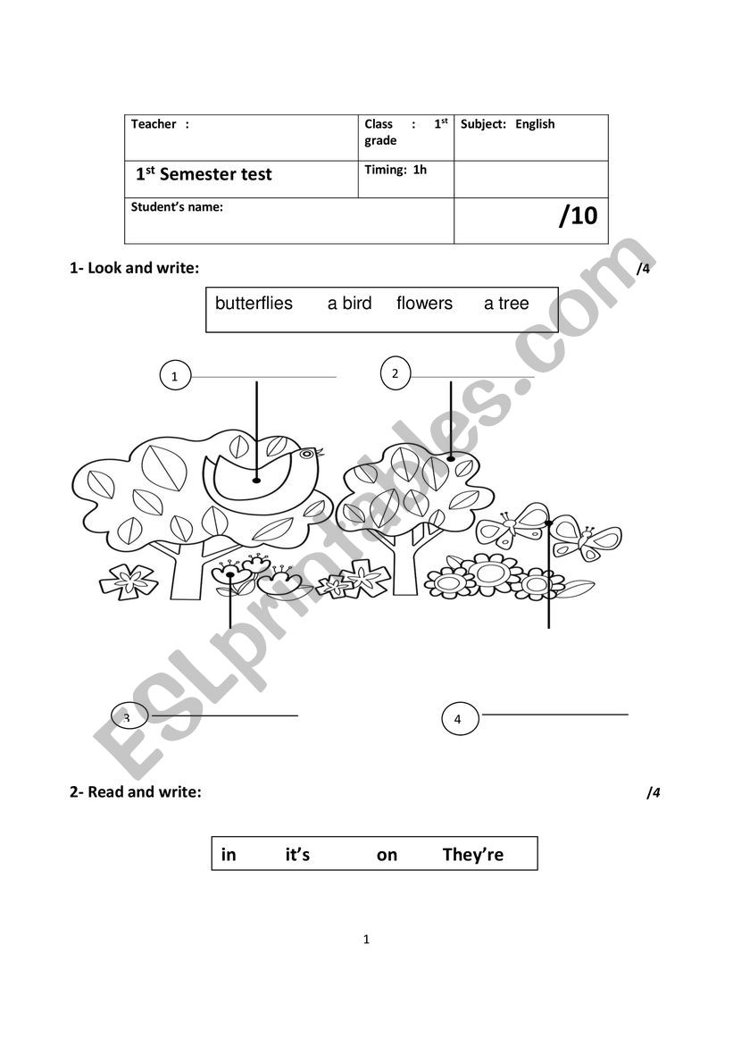 Nature worksheet