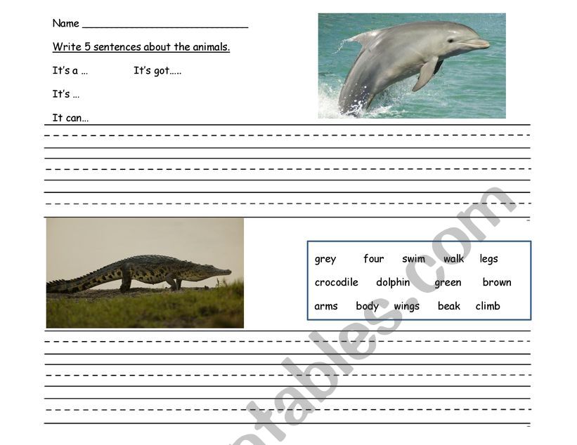 Animals - it has/hasnt got worksheet