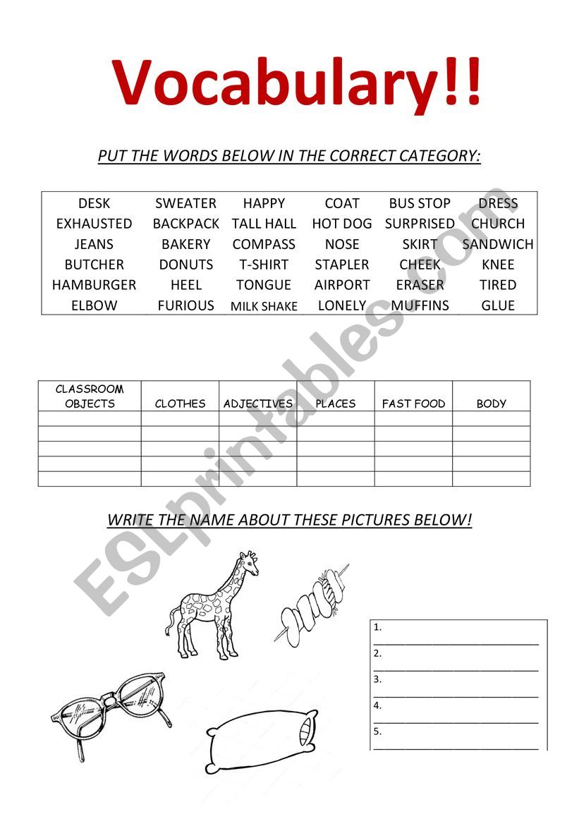 Different kinds of vocabulary worksheet