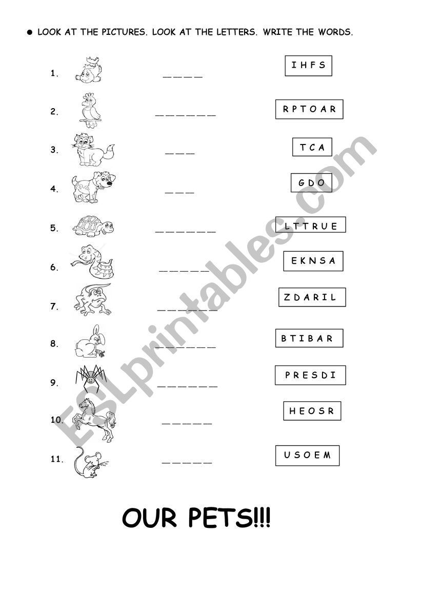 Animals worksheet