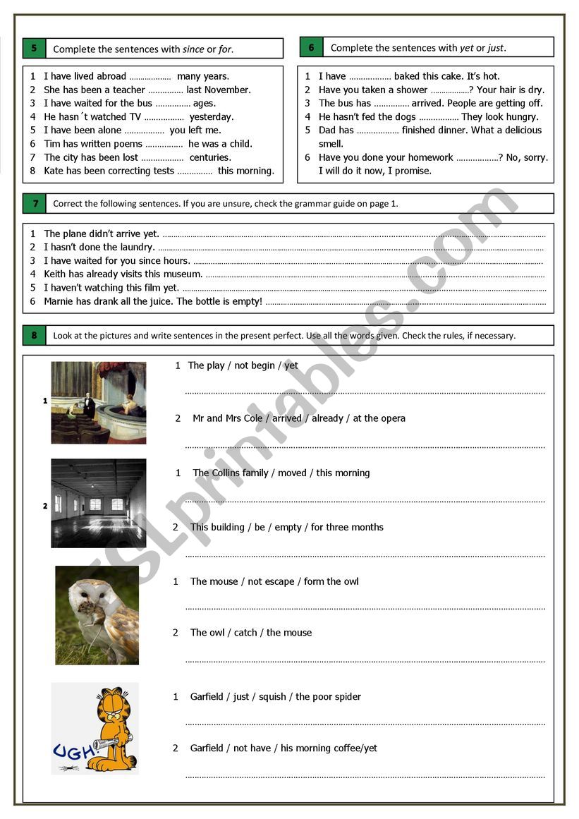 Present Perfect (4) worksheet