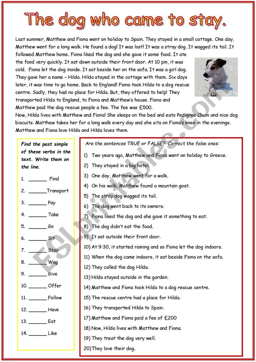The Stray Dog worksheet