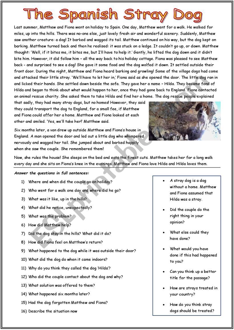 The Stray Dog worksheet