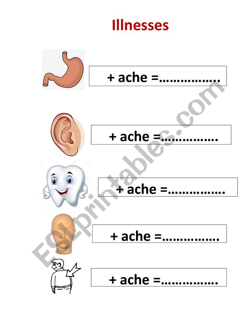 illnesses  worksheet