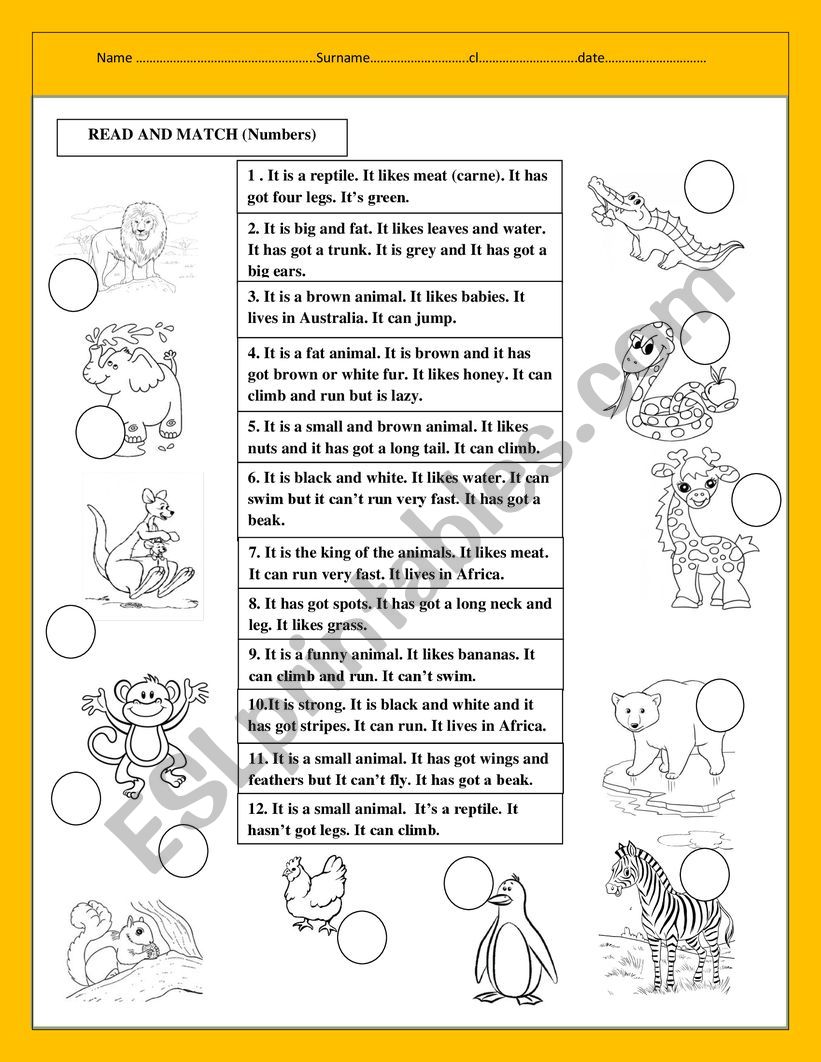 Animals worksheet