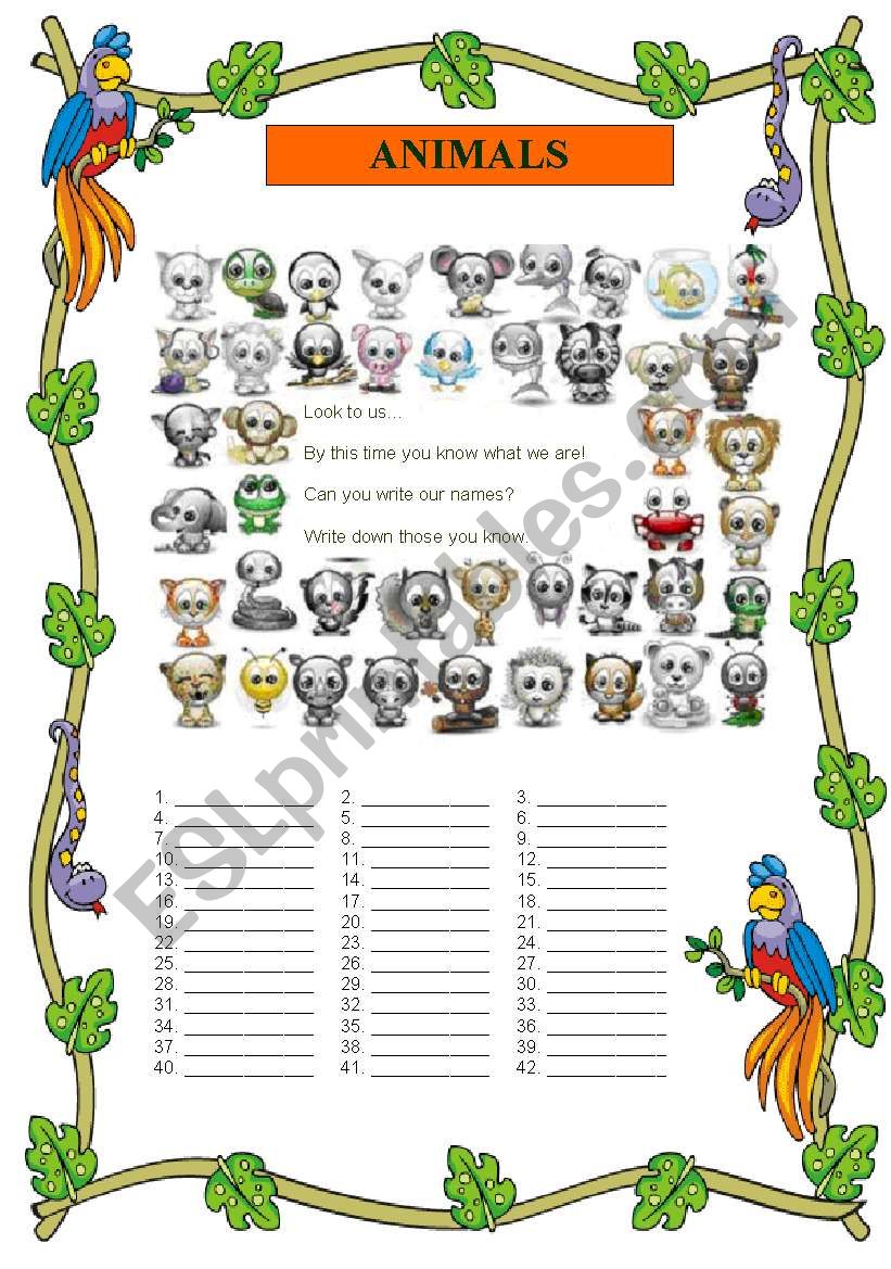 ANIMALS (15-08-2008) worksheet