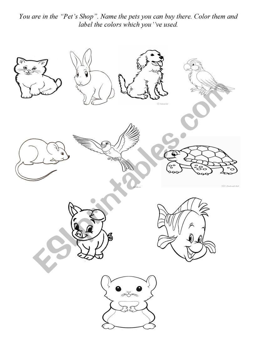 Learn Pets and colors worksheet