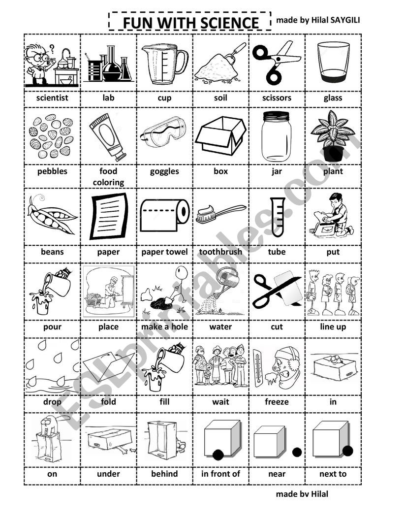 pictionary for science worksheet