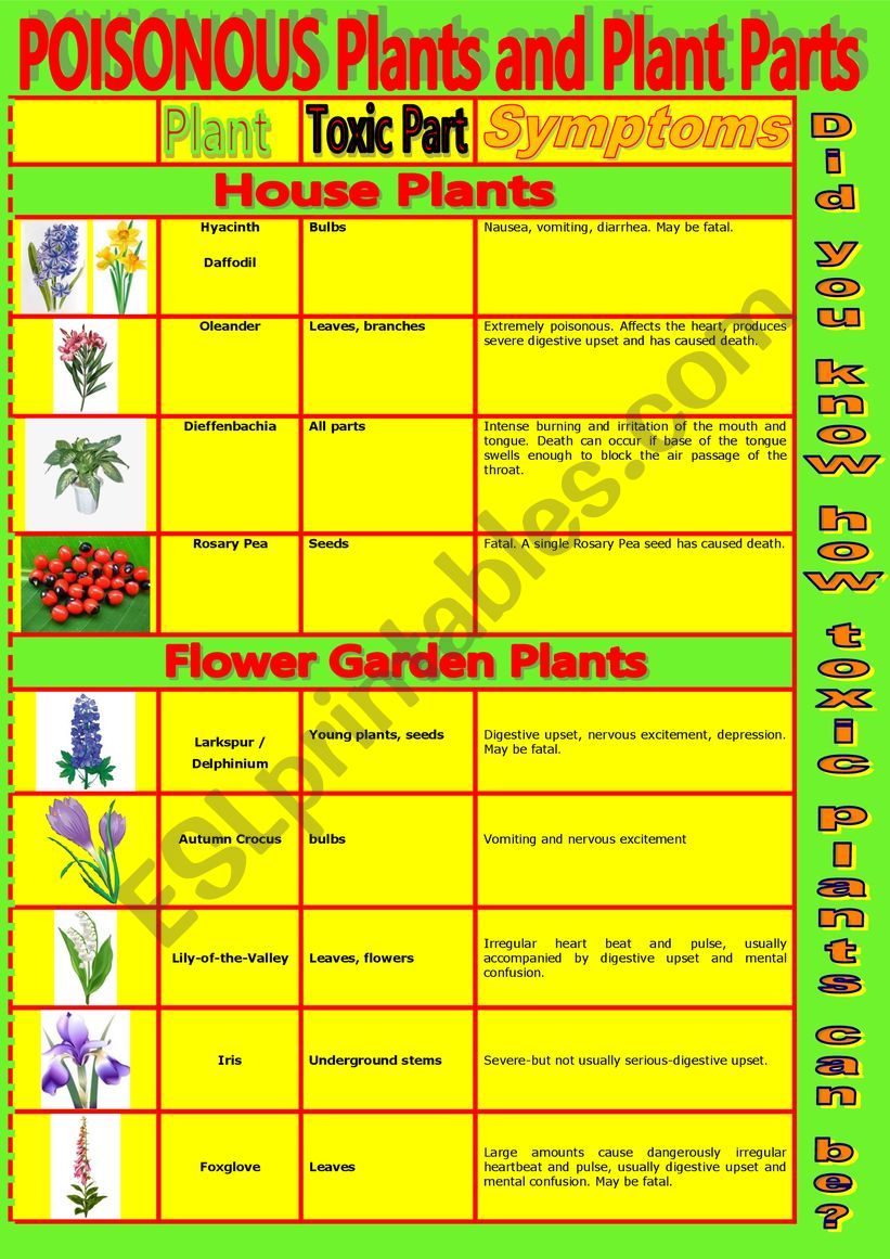Common Poisonous Plants and Plant Parts.