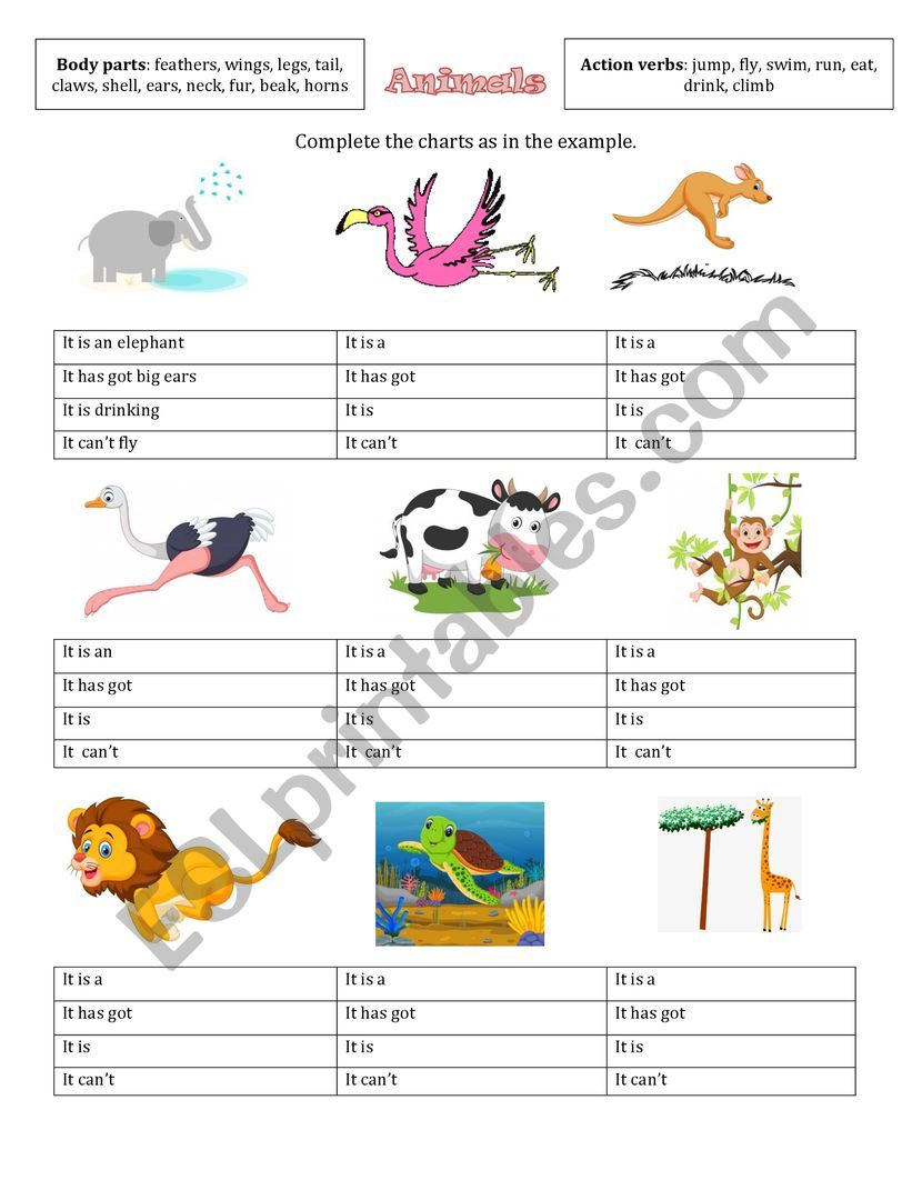 Animal body parts and actions worksheet