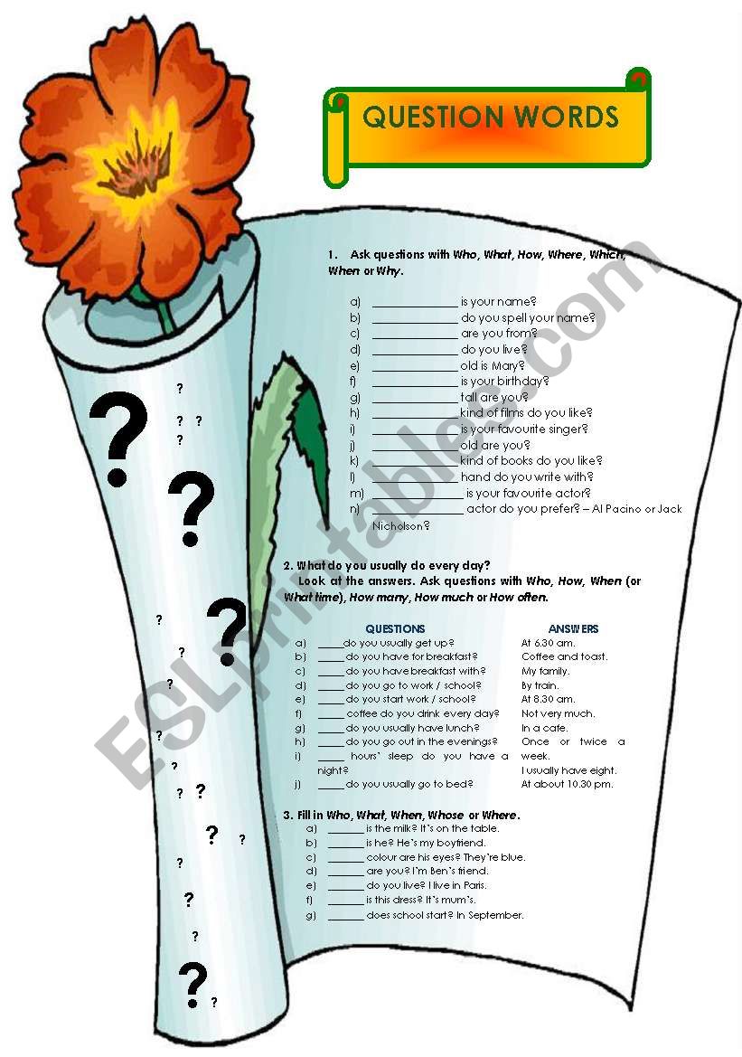 Question words (15.08.08) worksheet