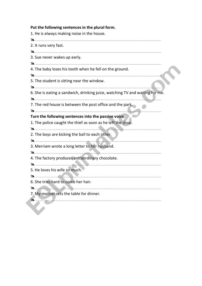 Exercises worksheet