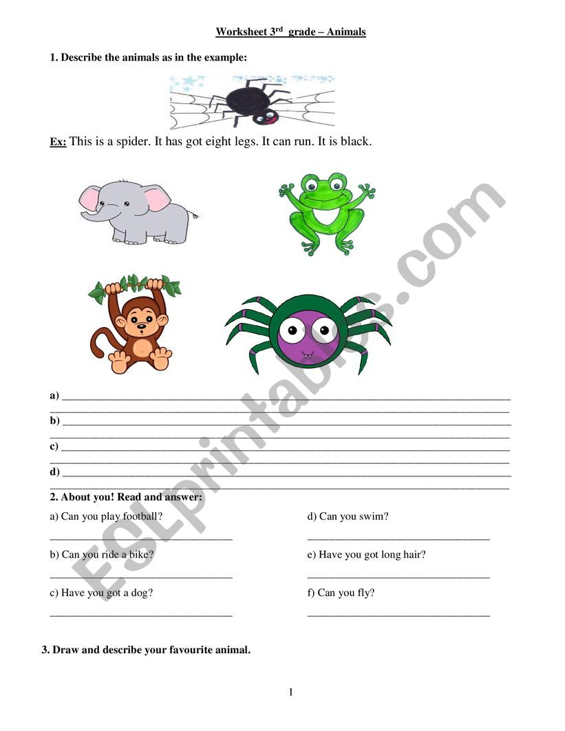 Animals worksheet