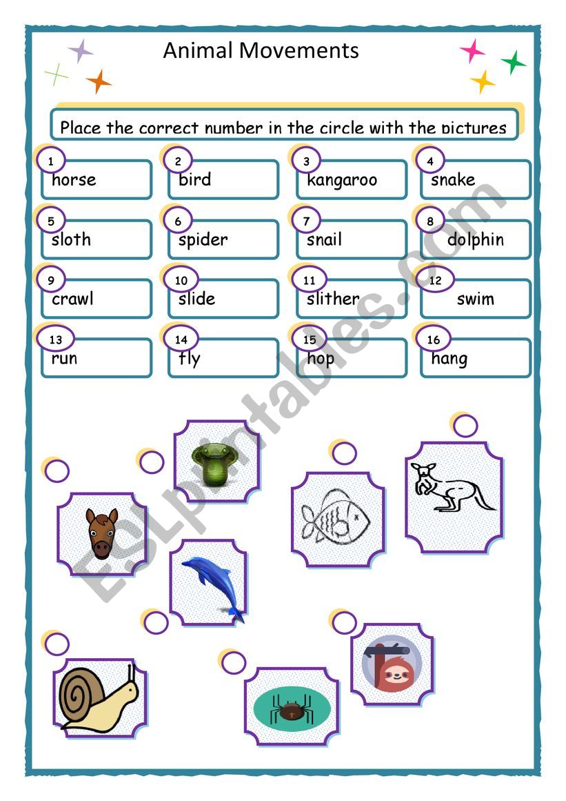 Animal Movements worksheet