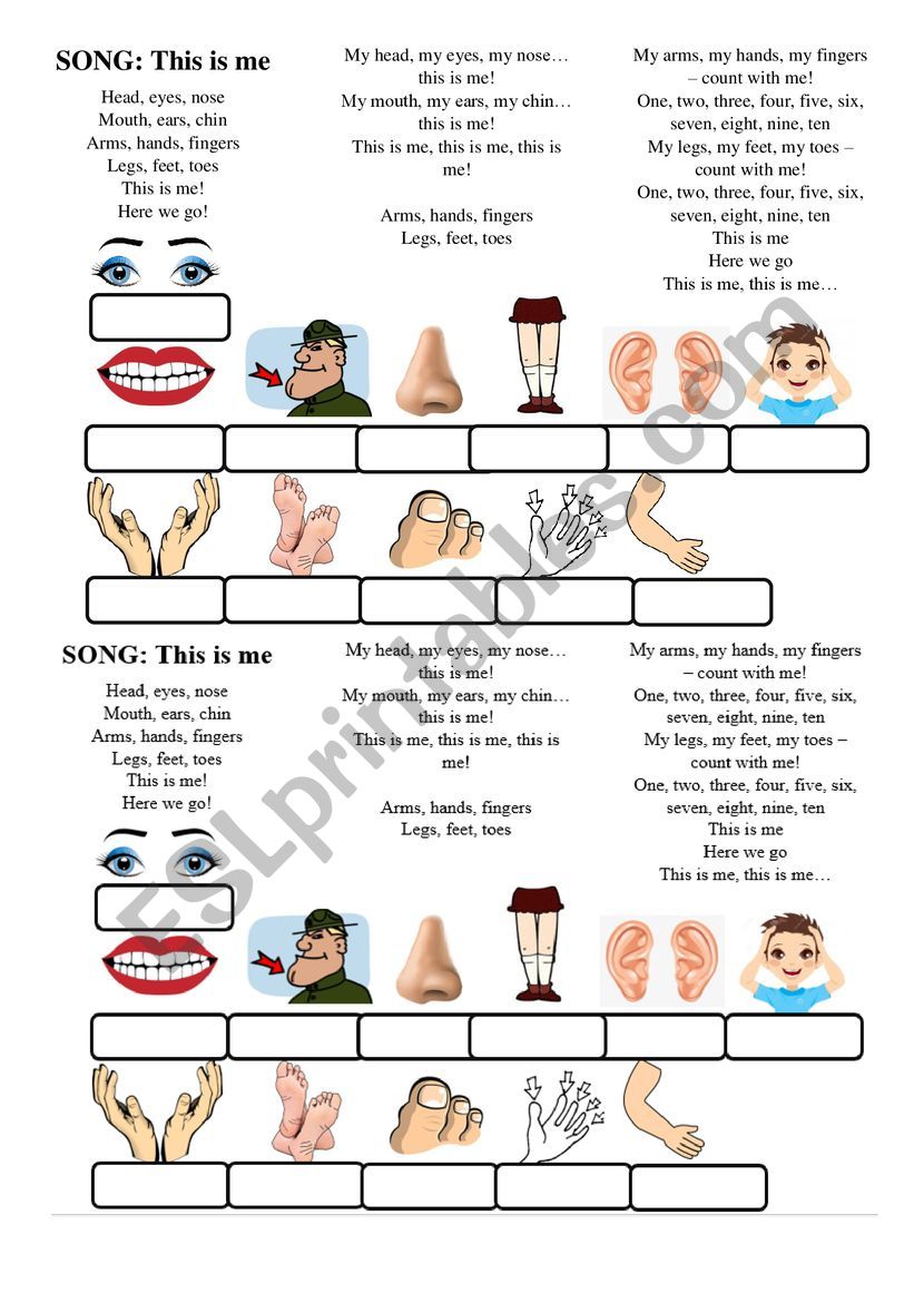 Body parts - worksheet and song