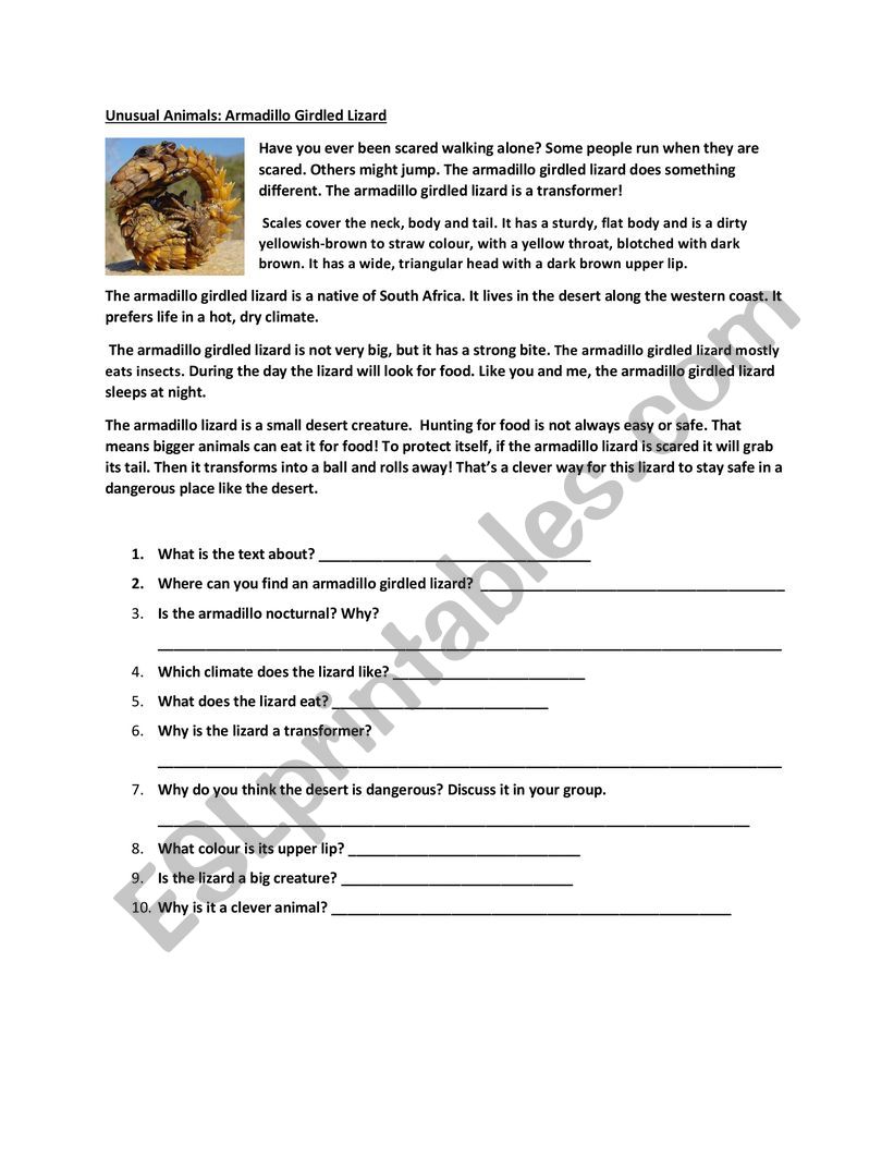 Reading Elementary worksheet