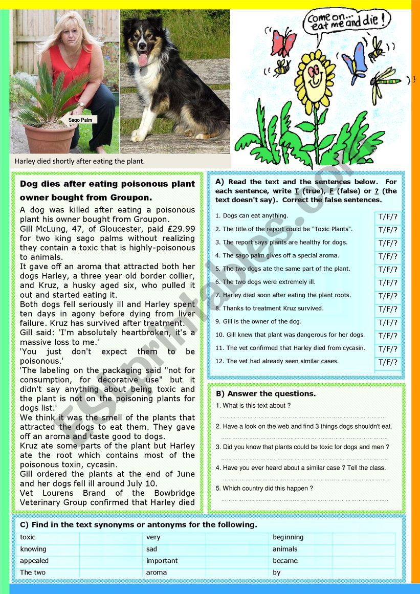 Dog dies after eating a plant. Reading Comprehension + KEY