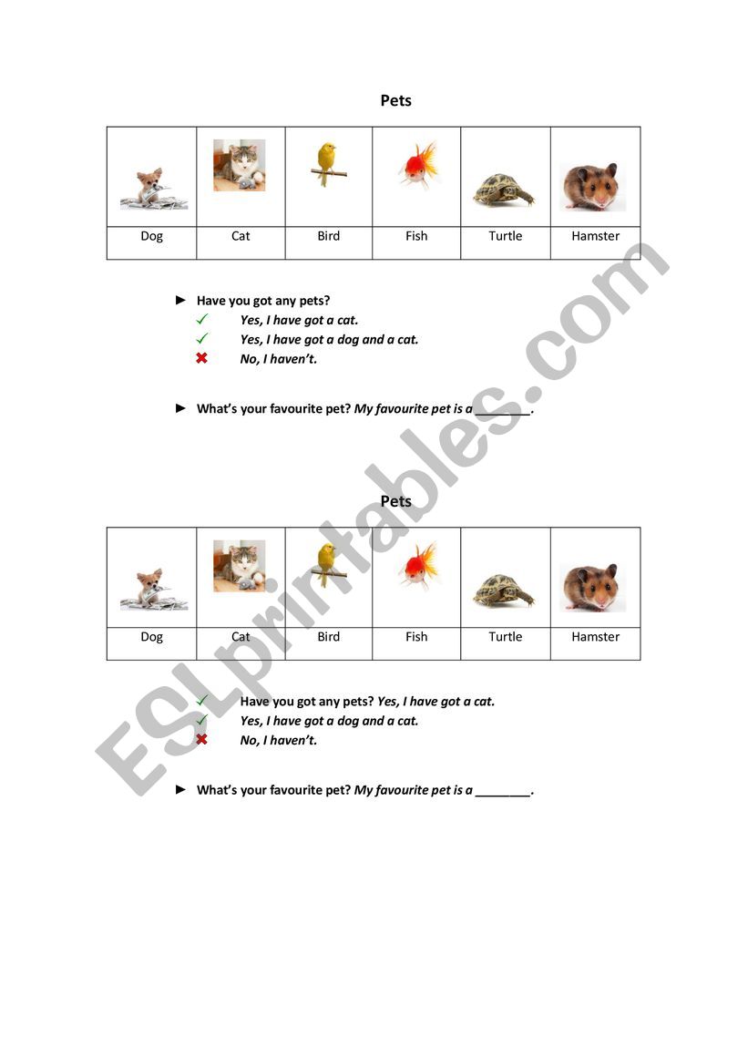 Pets  worksheet