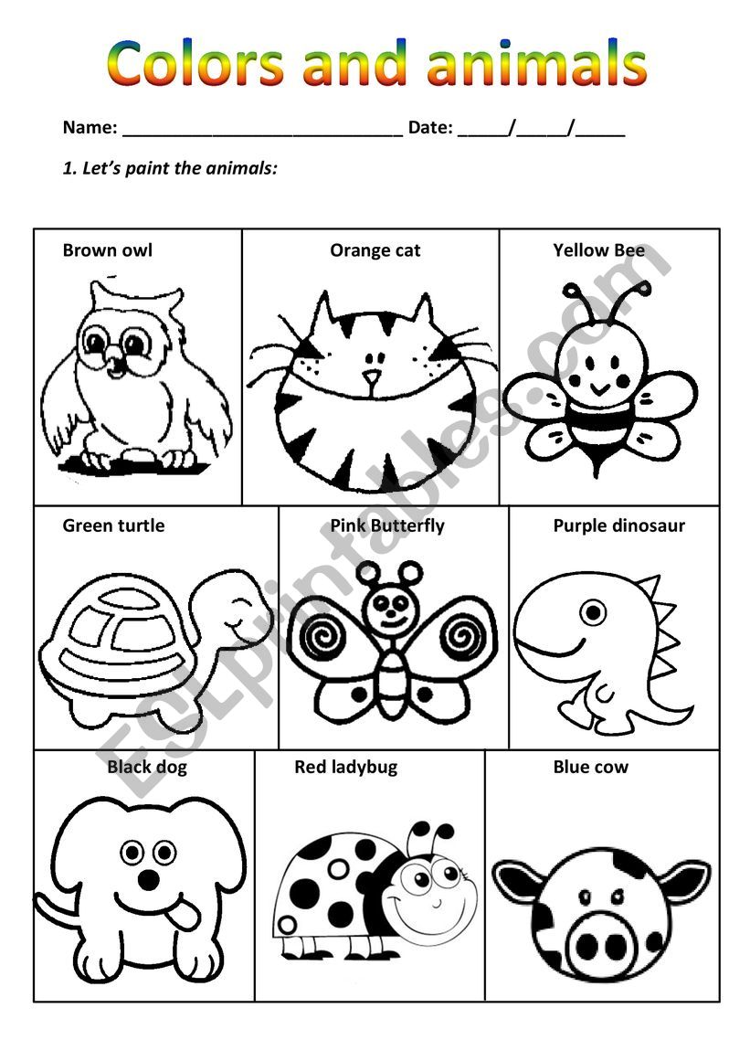 Colors and Animals - ESL worksheet by Colors and Animals - ESL worksheet by