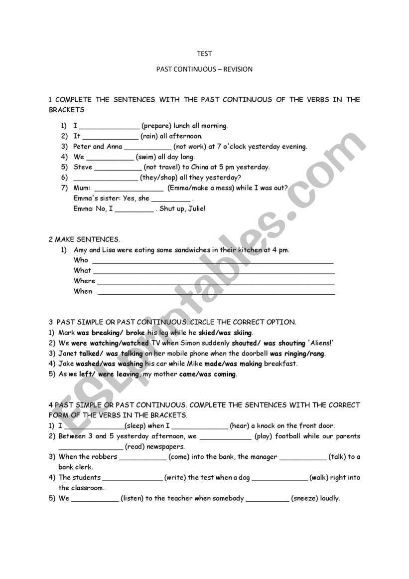 PAST CONTINUOUS WORKSHEET worksheet