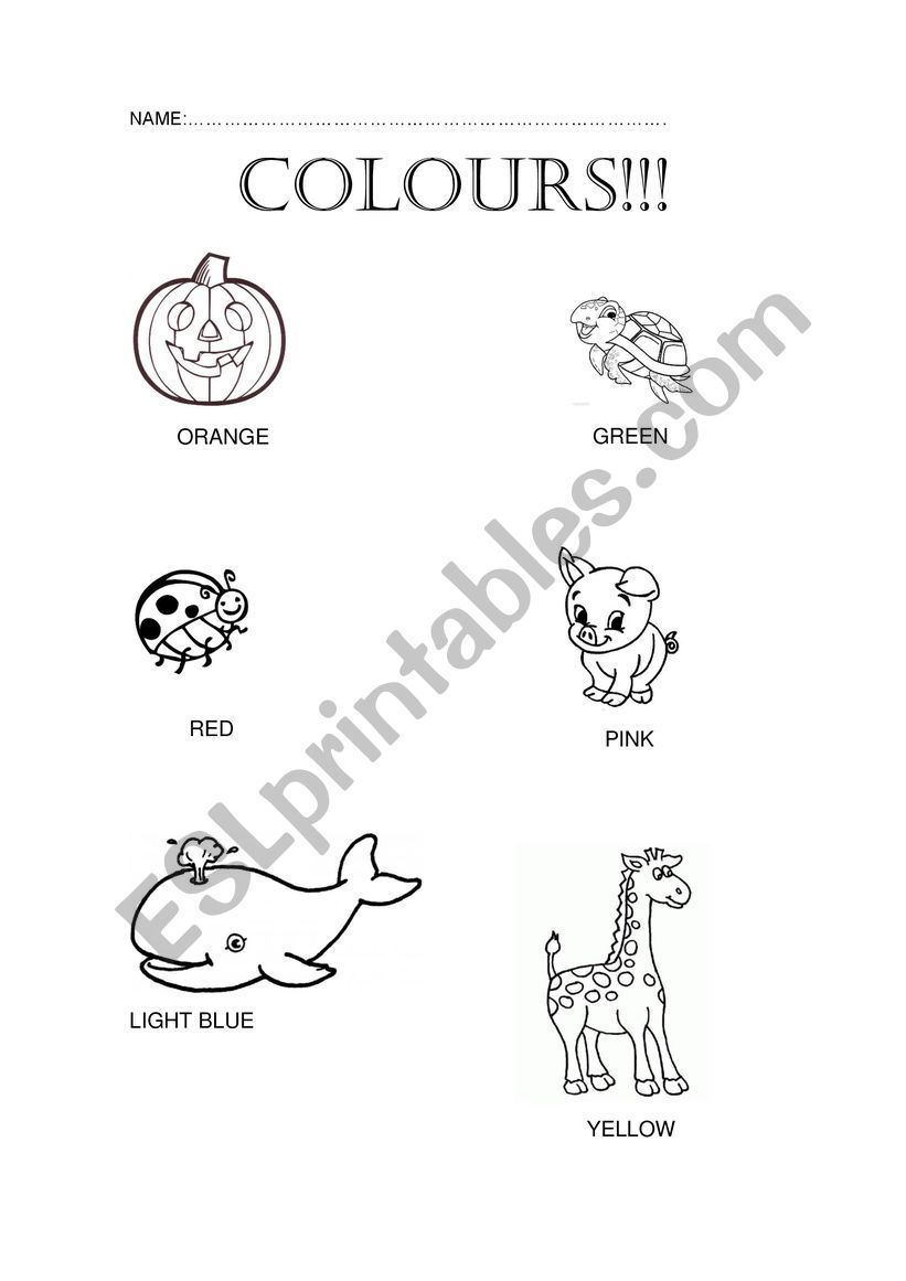 Colors worksheet