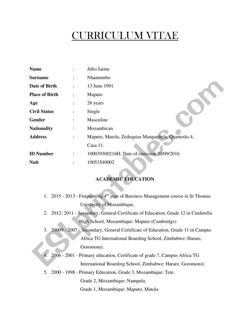 Curriculum vitae worksheet