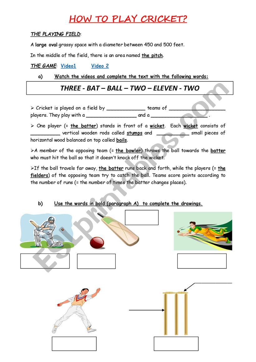 How to play cricket worksheet