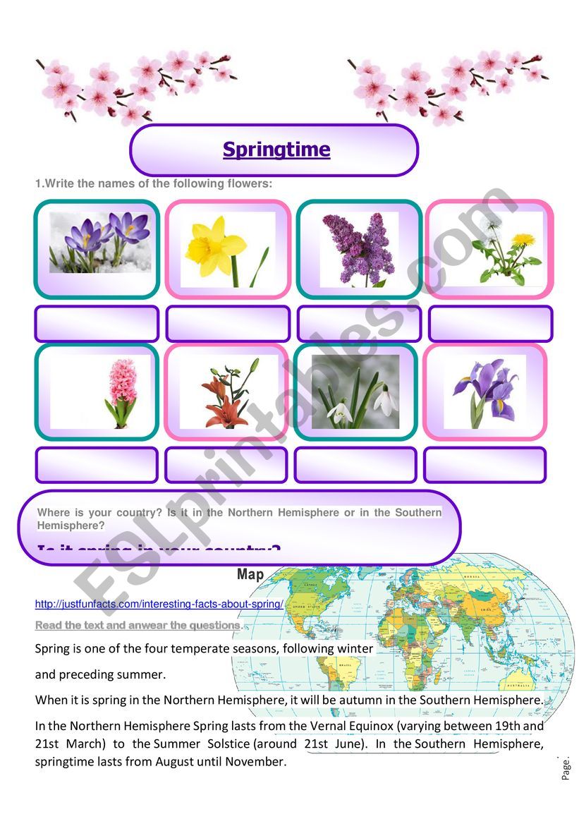 springtime worksheet