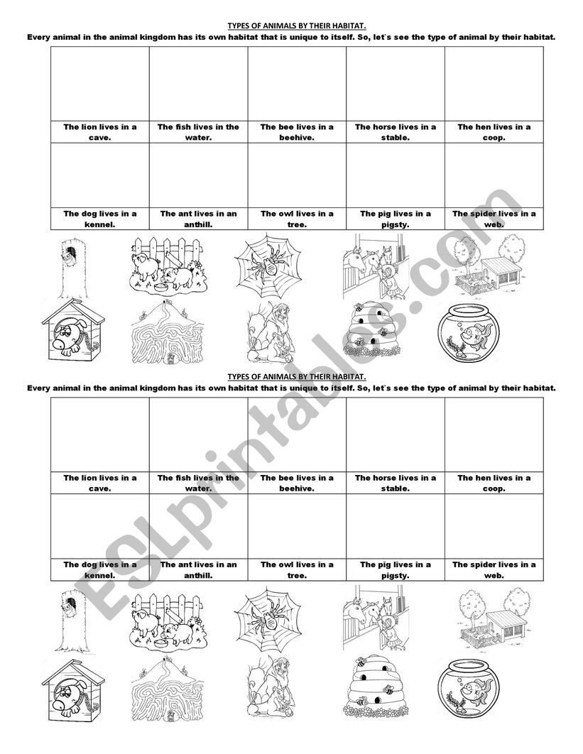 Where do animals live? worksheet