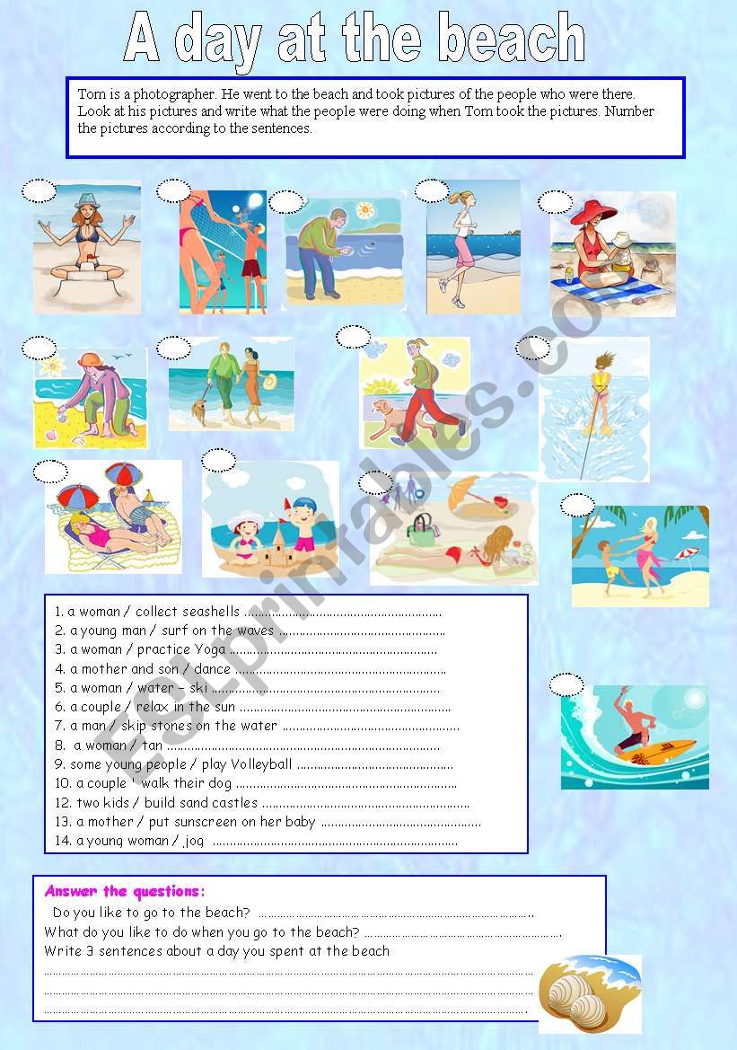 A Day at the Beach worksheet