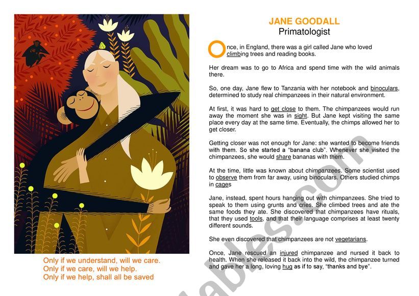 Jane Goodall worksheet
