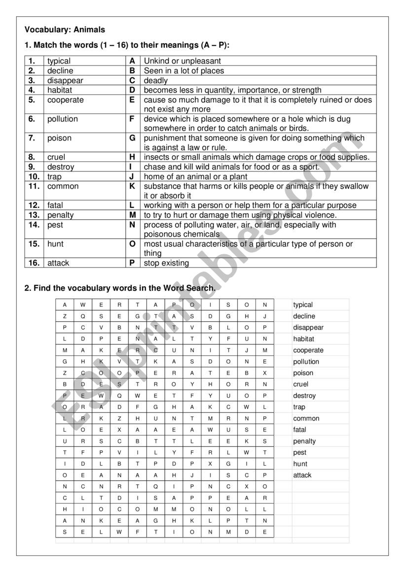 Vocabulary: Animals  worksheet