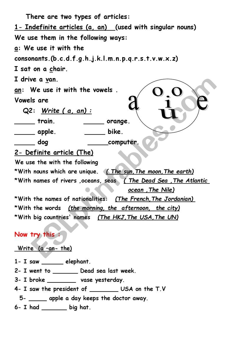 types of articles worksheet