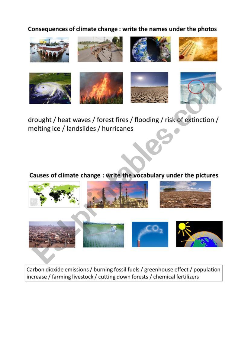 Climate change worksheet