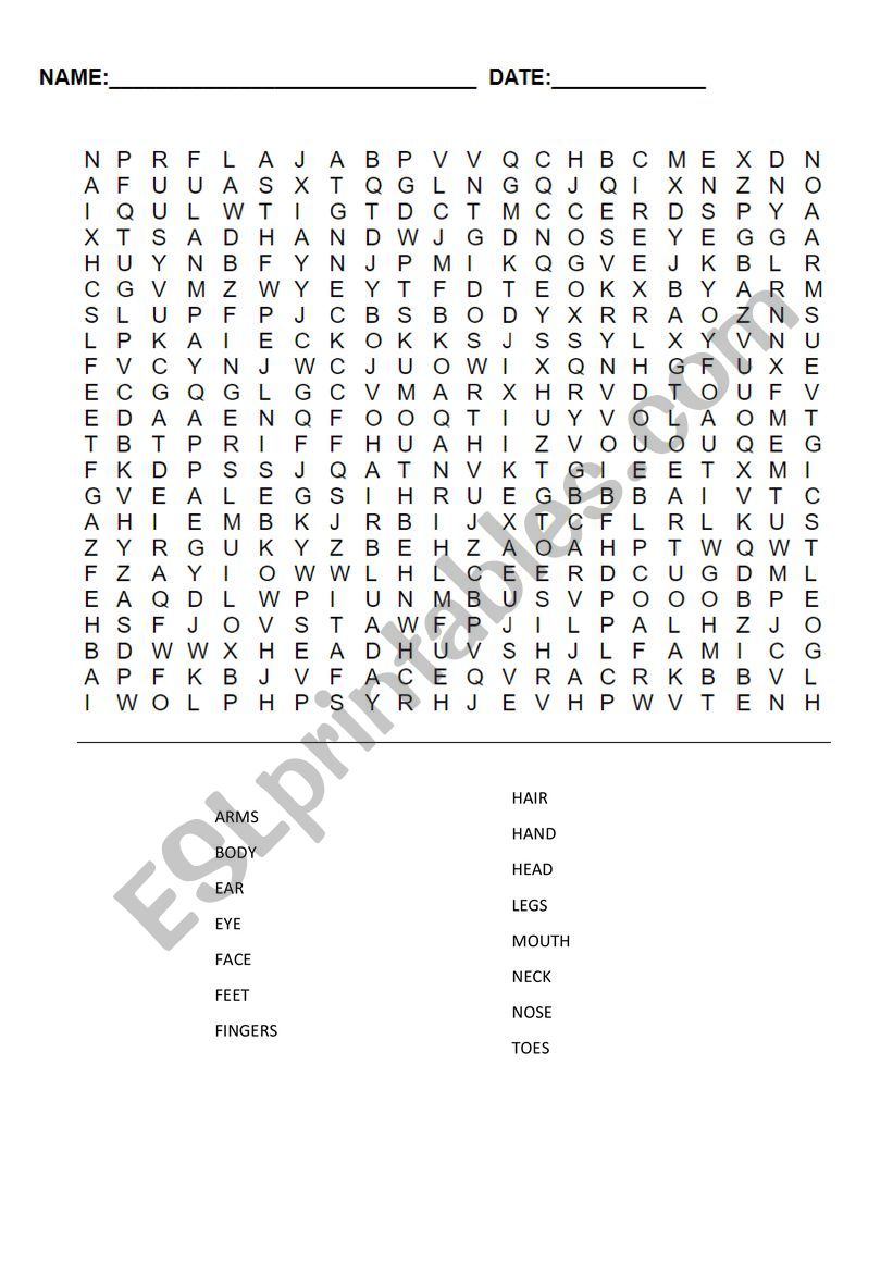 Body Wordsearch worksheet