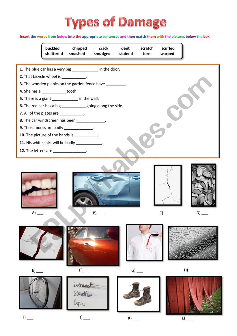 Types of Damage worksheet