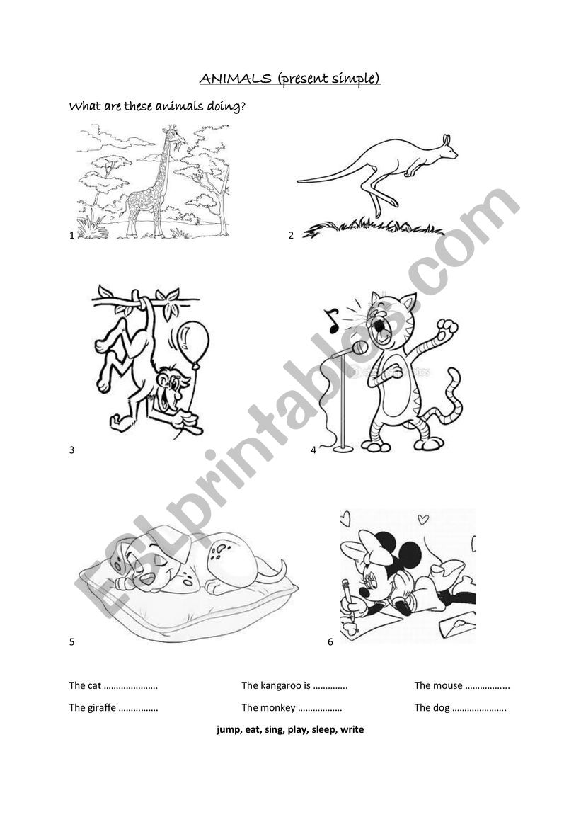 Present continuous worksheet