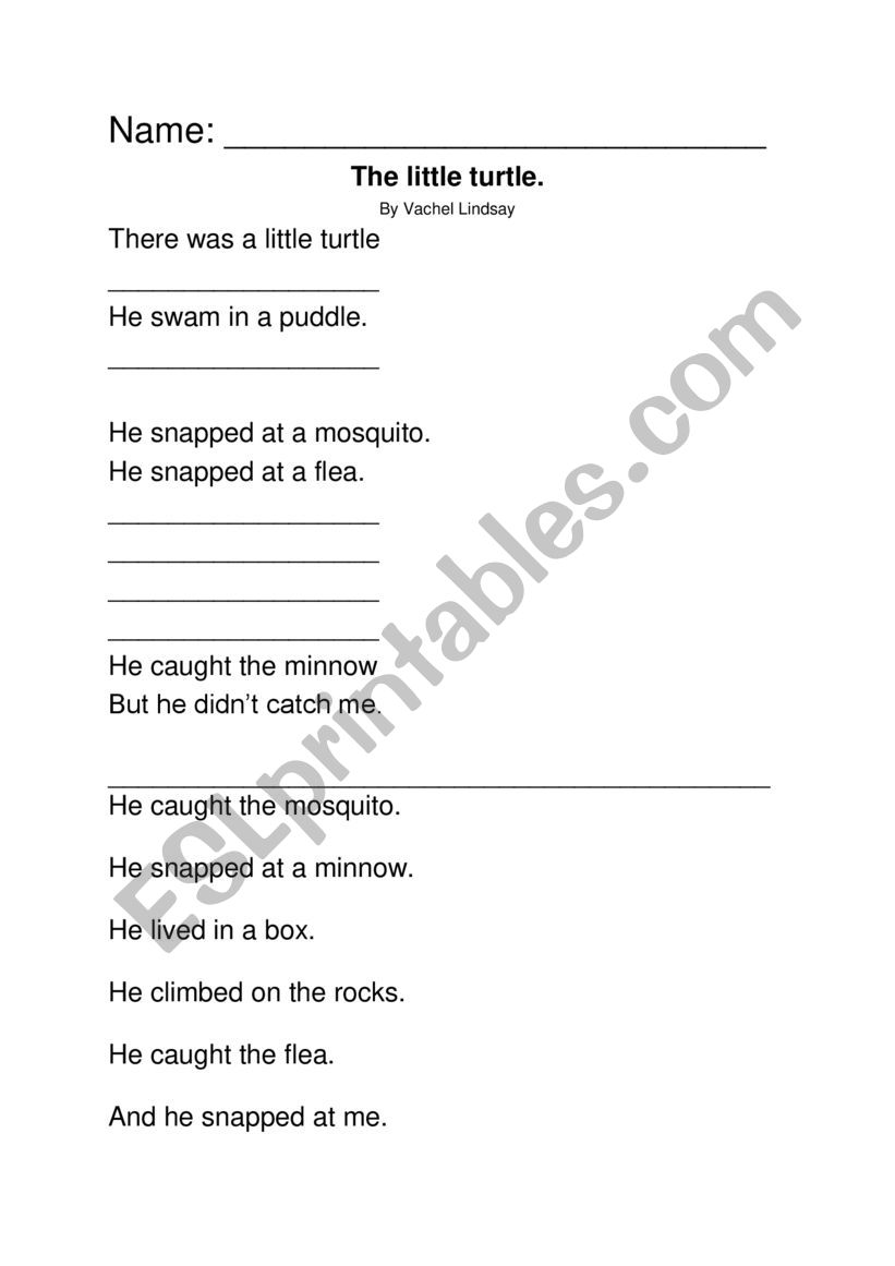The Little Turtle poem worksheet