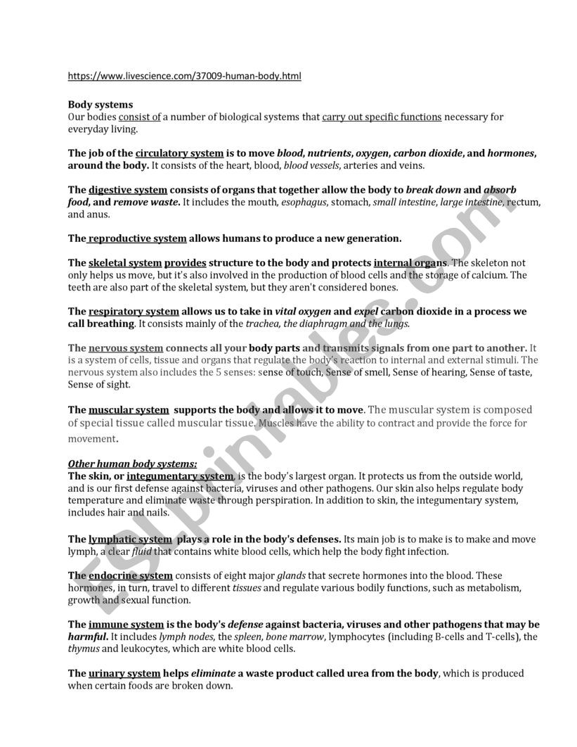 CLIL human body systems worksheet
