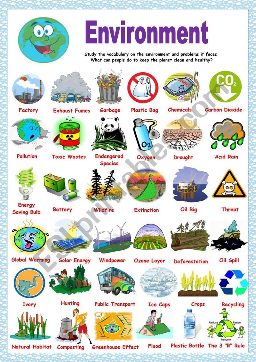 environment related task 2