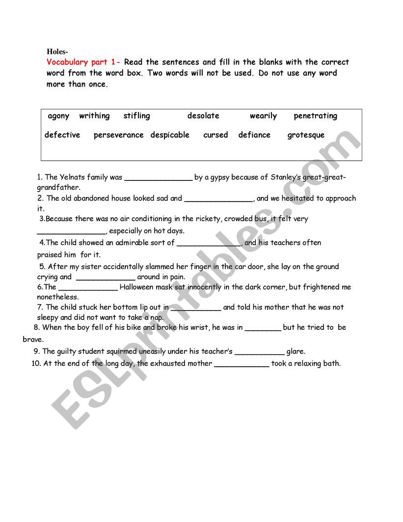 Holes Novel worksheet