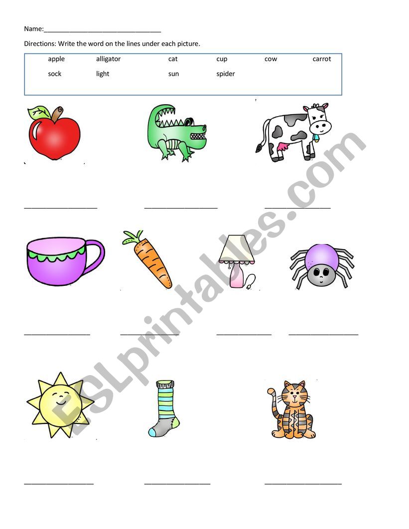 Matching picture to word worksheet