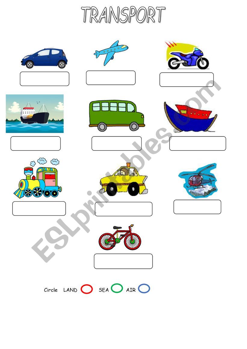 Transport worksheet