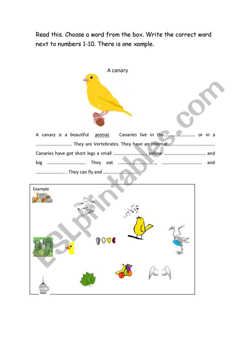 CANARY worksheet