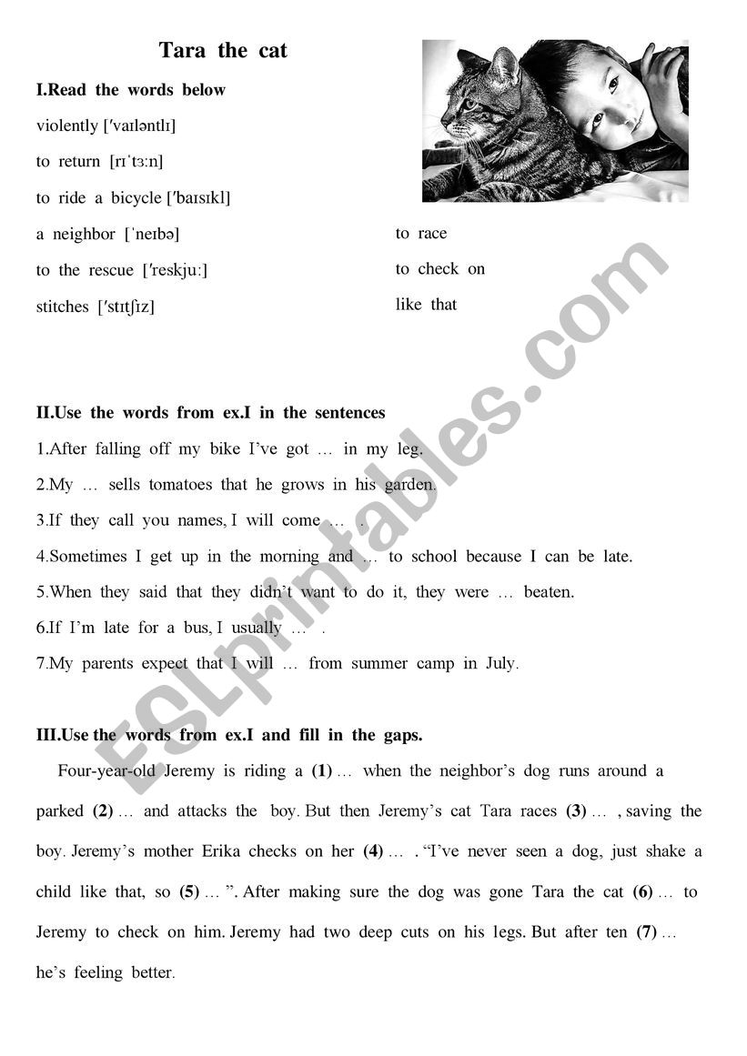 Tara the cat worksheet