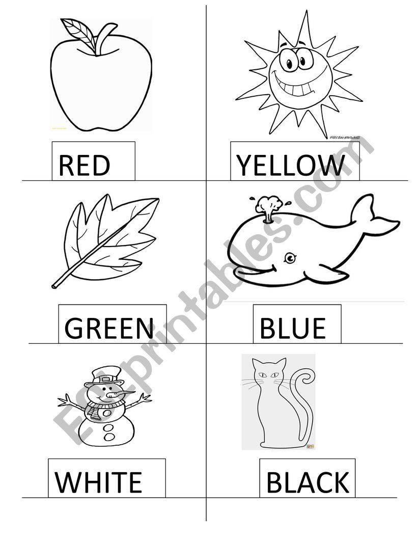 Read and colour worksheet