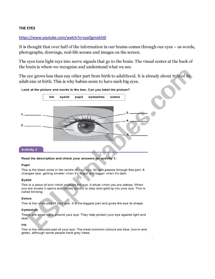 CLIL human body the eyes worksheet