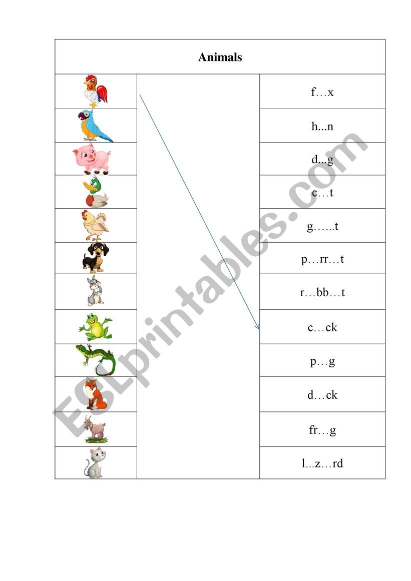 Animals worksheet