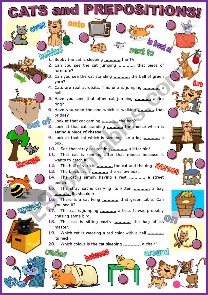 Cats and Prepositions + Key worksheet